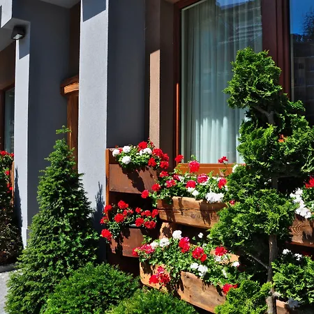 セレンディピティ Oulx