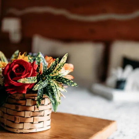 Serendipity Hotel 3*