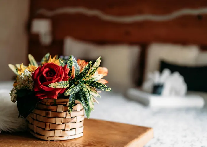 Serendipity Hotel 3*