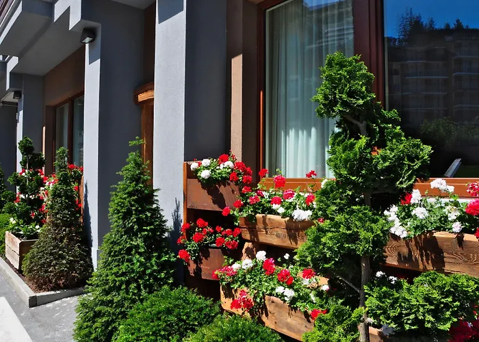 Serendipity Sauze D'Oulx